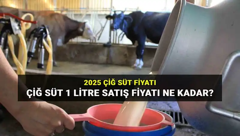 2025'te Çiğ Süt Fiyatları: Ulusal Süt Konseyi'nin Çarpıcı Açıklamaları