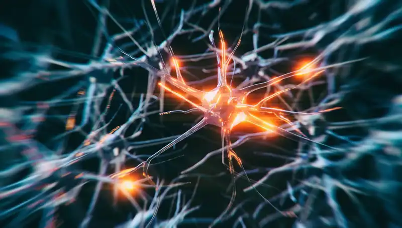 Alzheimer Vakaları Neden Artıyor? Uzmanlar Yanıtlıyor