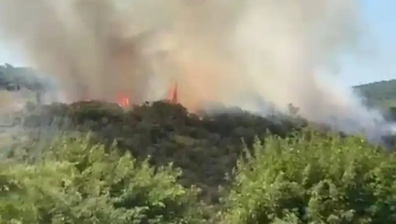 İstanbul'da Orman Yangını: Bölge Halkı Acil Tahliye Edildi