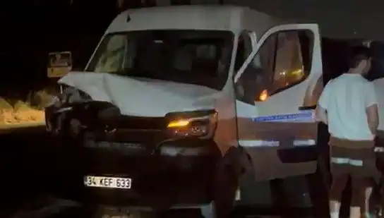 İstanbul'da Manda Kazası: Üç Kişi Yaralandı, Olayın Detayları Şaşırtıyor