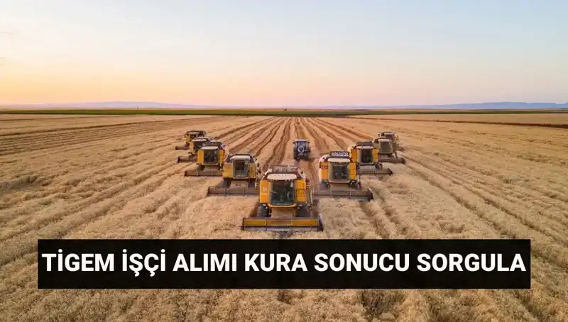 TİGEM Kura Sonuçları Açıklandı: İşe Alım Süreci ve Mülakat Tarihleri Neler?
