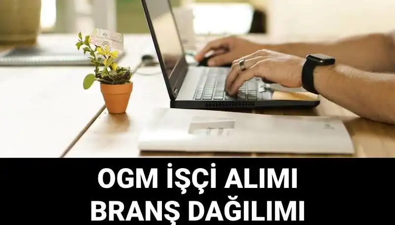 Orman Genel Müdürlüğü'nden 4500 Geçici İşçi Alımı İlanı: Başvuru Şartları Neler?