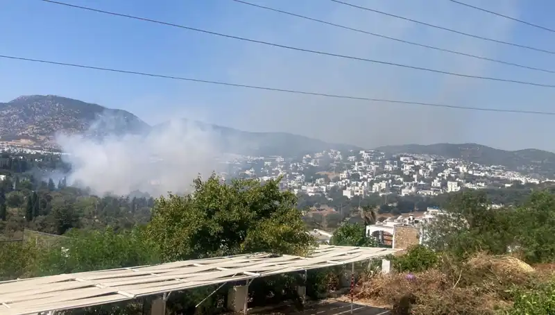 Muğla'daki Orman Yangınlarında Kontrol Sağlandı: Son Durum Ne?