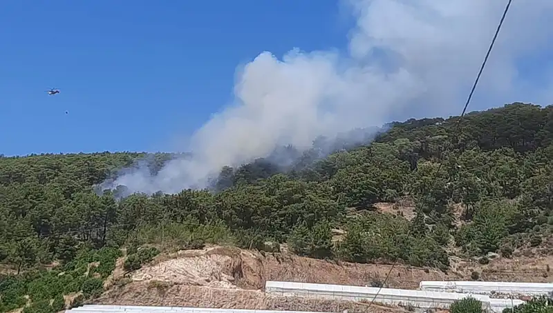 Kumluca'da Orman Yangını: Doğa Felaketinin Ardındaki Gerçekler