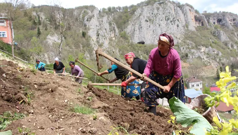 Zorlu Mesai Başladı: Sırtlarındaki Sepetler ve Ellerindeki Kazmalar ile Mücadele