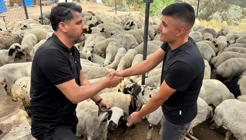 Kurbanlık Satın Almadan Önce Bilmeniz Gereken İpuçları ve Püf Noktaları