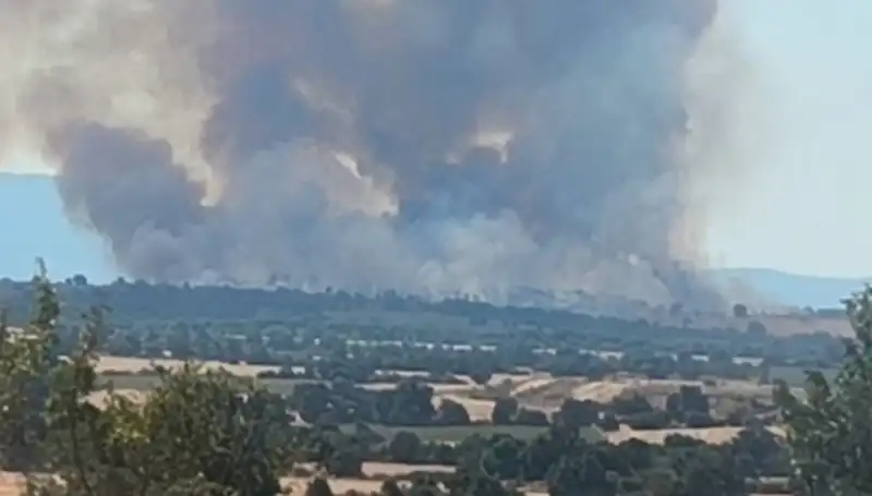Komşudaki Orman Yangını Edirne’yi Karanlığa Gömüyor: Neler Oluyor?