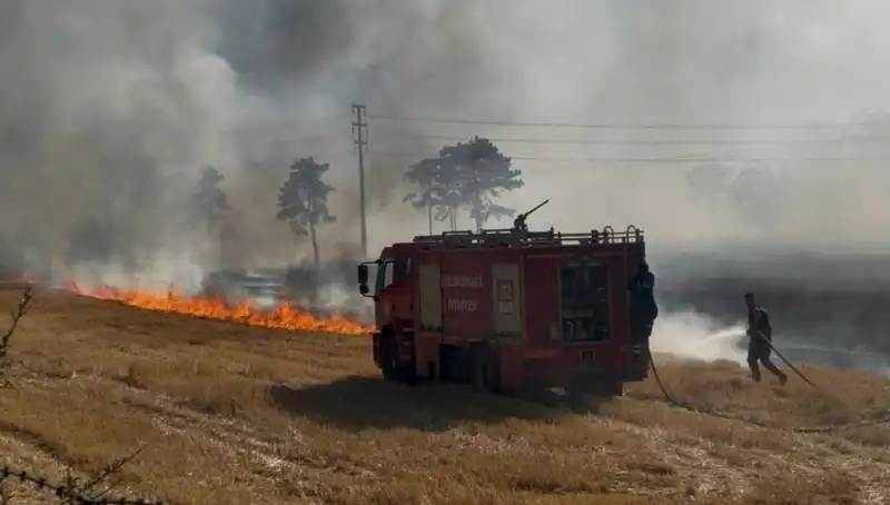 Kırklareli'nde Korkutan Anız Yangını: Yangın Neden Çıktı?