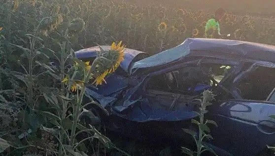 Ayçiçeği Tarlasında Devrilen Otomobil Kazası: Yaralılar Hastaneye Sevk Edildi