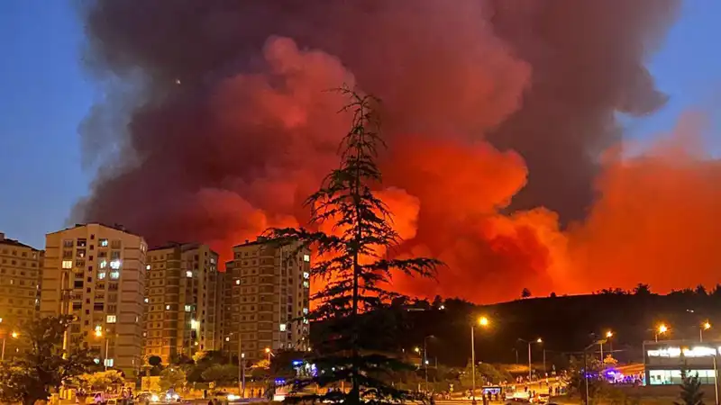 Bursa'da Yangınların Sebebi ve Şehrin Geleceği Üzerindeki Etkileri