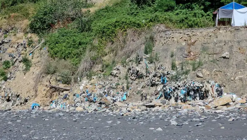 Kozlu Sahil'de Çöp Yığını İsyanı: Doğa ve Sağlık Tehlikede