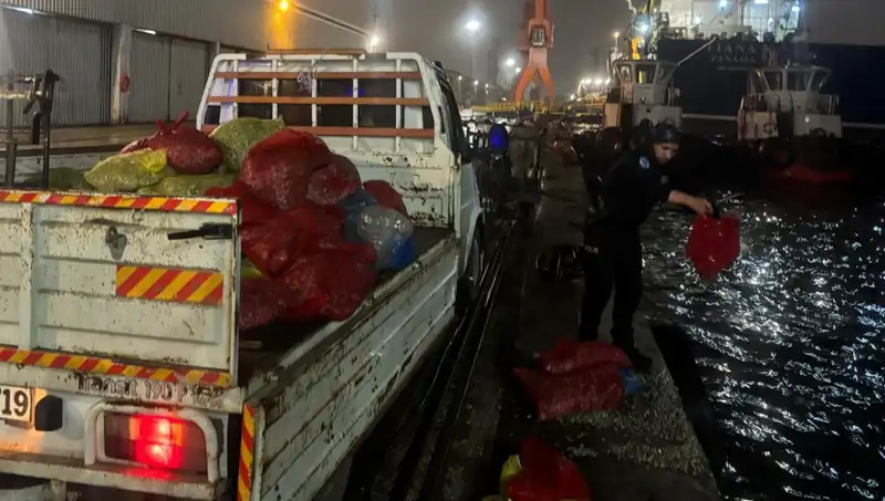 Kaçak Midyeler Denetimlere Takıldı: Ülke Sağlığı Tehlikede!