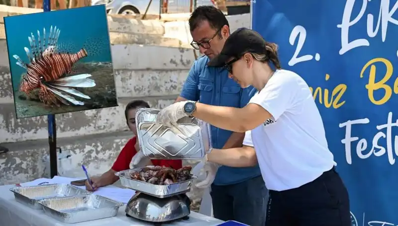 Antalya’da İstilacı Aslan Balığı Avlama Yarışması: Denizlerin Kralı Avlanıyor!