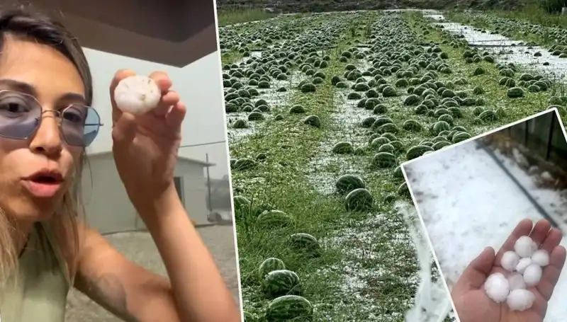 Antalya'nın Dolu ve Hortum Faciası: Yerle Bir Olan Hayatlar