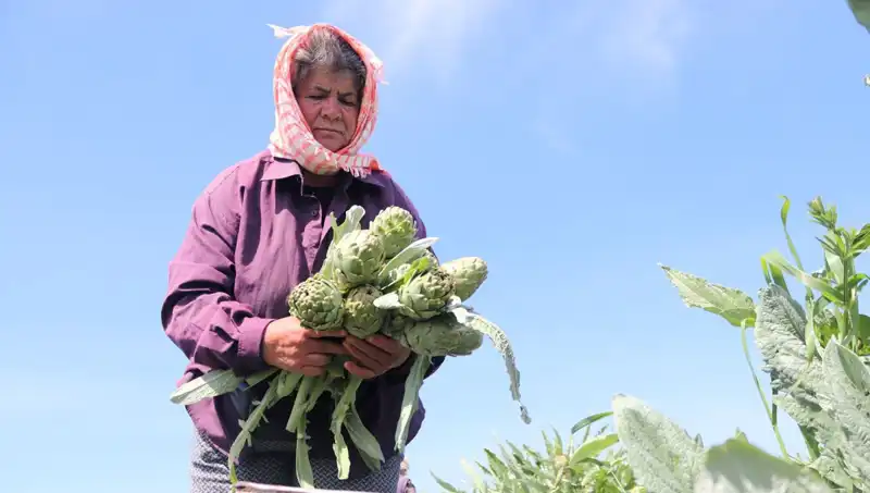 Tarladan Sofralara: Tezgahta Tanesi 50 TL Olan Ürünler Neler?