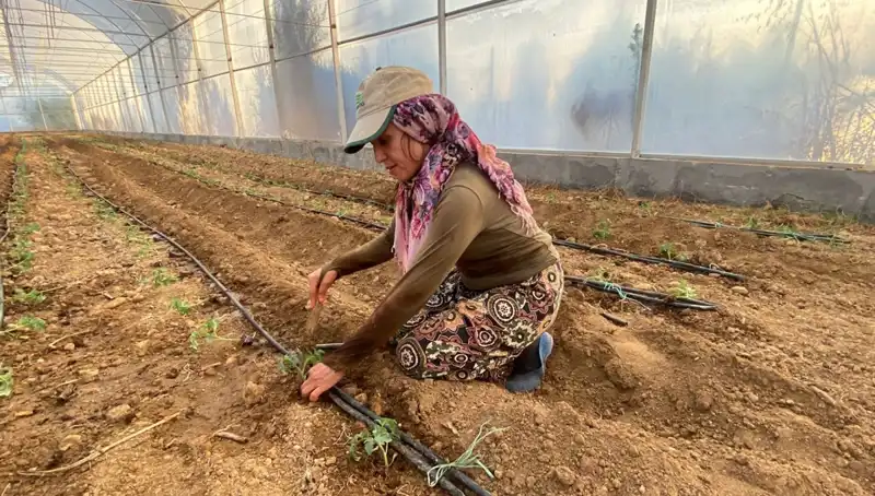 İnanılmaz Çalışma! 6 Saat Çalışan Fideler Toprakla Buluştu