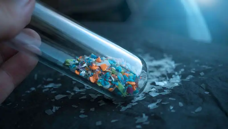 Mikroplastikler Beynimize Sızıyor: Sağlığımızı Nasıl Tehdit Ediyor?