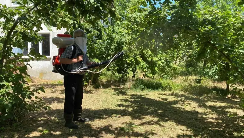 Kükürt ve Samuray Arısı: Çiftçilerin Umut Kaynağı Olma Yolunda!