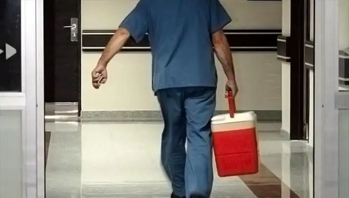 Organ Bağışında Devrim: e-Devlet ve e-Nabız ile İşlemler Çok Kolaylaştı