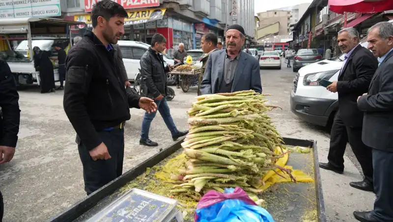 Dağlık Alanlardan Gelen Şeker: Sağlık Faydaları ve Efsaneler