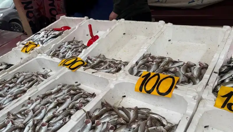 Balık Fiyatları Düşerken, Restoranlar Halka Ücretsiz Balık İkram Ediyor
