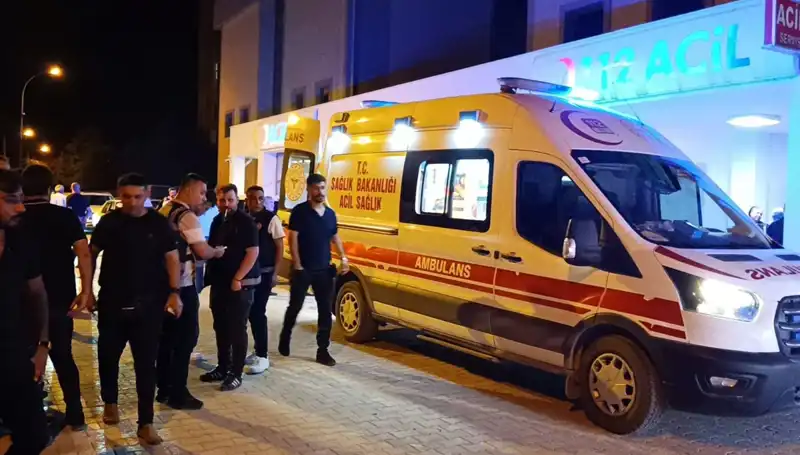 Kardeşler Arasında Çıkan Kavga Tüyler Ürpertti: Sona Giden Yol!
