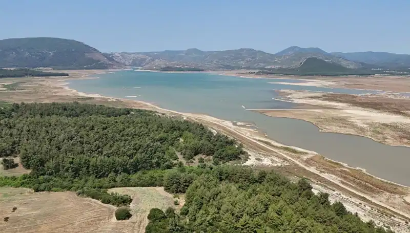 İzmir'de Tehlike Çanları: Kayıp Rakamları Sarsıcı Gerçekler