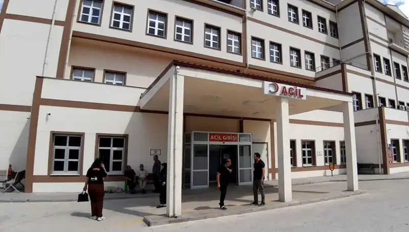 Bolu'da Alınan Ayı Avı Kararı Tartışmalara Yol Açtı
