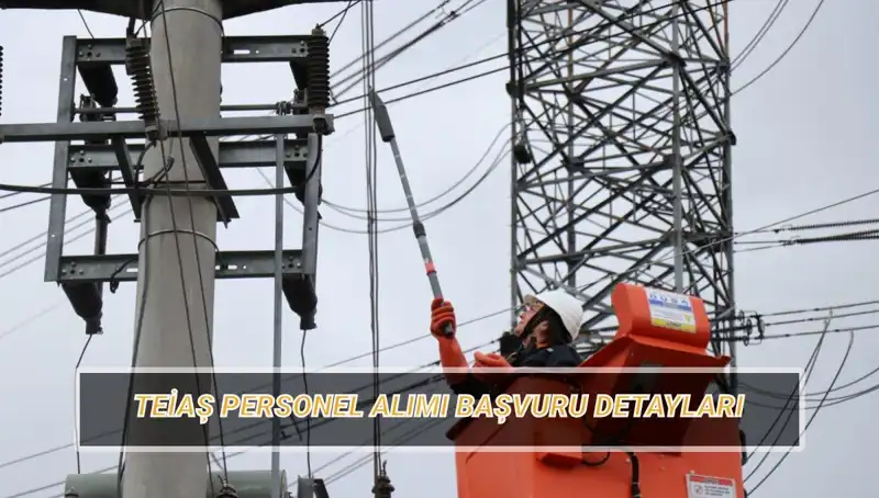 TEİAŞ Personel Alımı: Başvuru Tarihleri ve Şartları Detaylı İnceleme