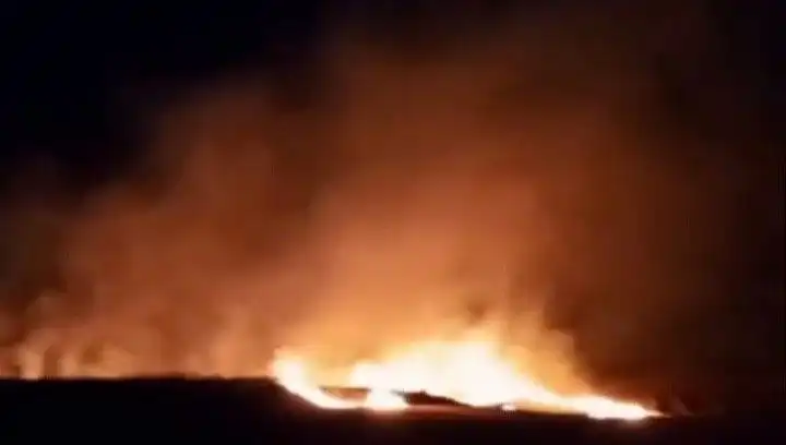 Tekirdağ'da 20 Dekar Buğday Alanı Yangında Küle Döndü