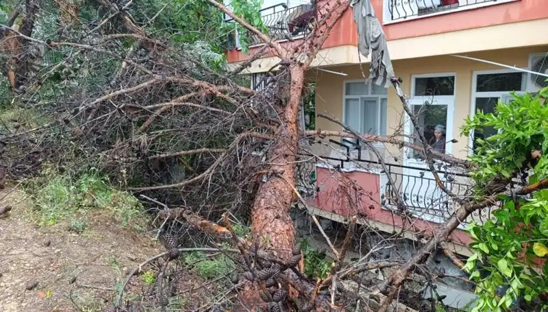 Yağmura Dayanamayan Bina: Tüm Detaylar ve Nedenleri