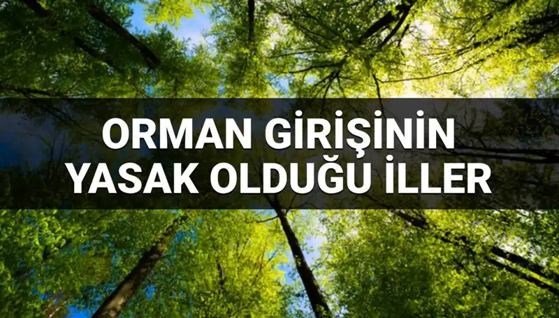 2025 Yılında Orman Girmesi Yasaklanan İller Açıklandı!