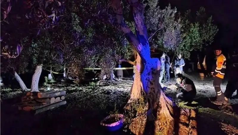 Çiftlikte Yaşanan Kan Donduran Vahşet: Baltalı Saldırı Üzerine Tutuklama Gerçekleşti