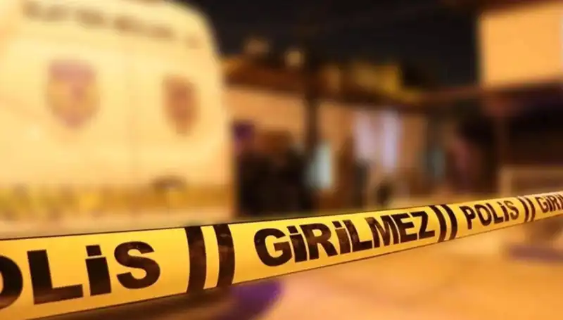 Diyarbakır'da Kayınpederin Dehşet Verici İnfazı: Korkunç Detaylar Ortaya Çıktı